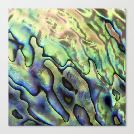 Sea Shell Texture Canvas Print