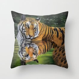 Shadow deflects Throw Pillow