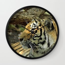  Asian Bengal Tiger Wildcat Resting Portrait Forest Wall Clock