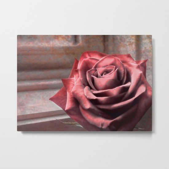 Love Is A Rose Metal Print