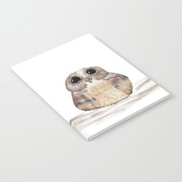Sweet owl Notebook