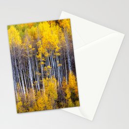 Autumn Aspens - Rows of Colorado Aspen Trees with Autumn Color in Reflection Illusion Stationery Card