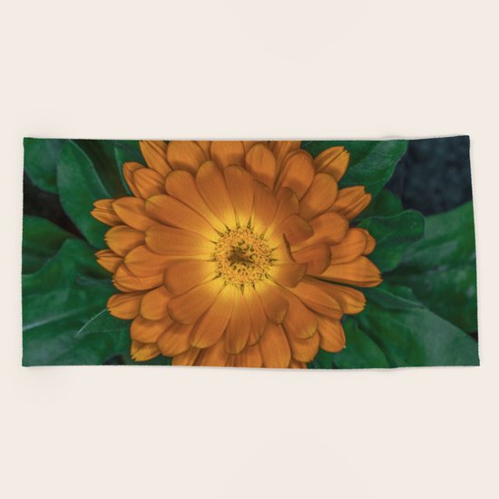 Orange Flower Beach Towel