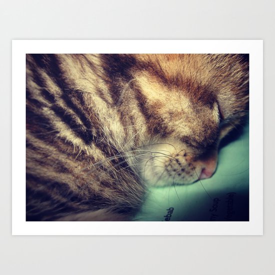Sleepy Kitten Art Print