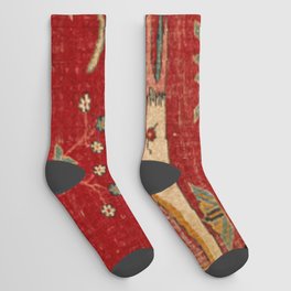 Animal Grotesques Mughal Carpet Fragment Digital Painting Socks
