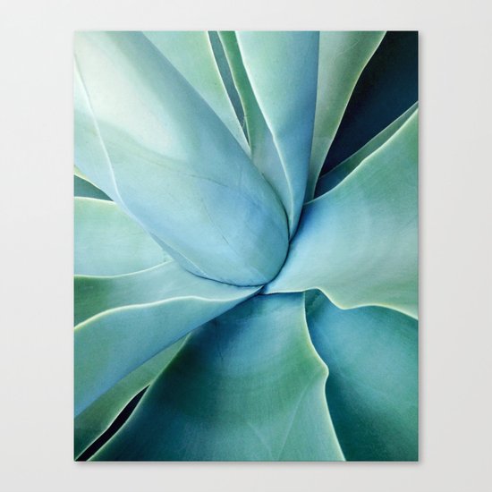 Agave Canvas Print