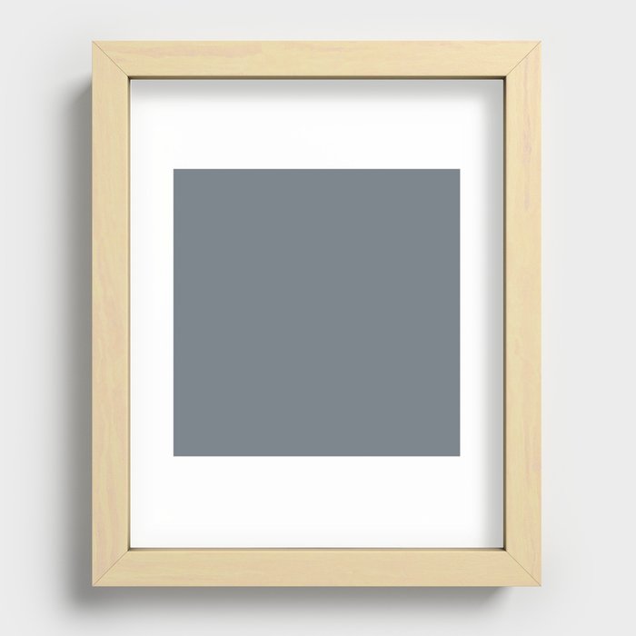Fossil Recessed Framed Print