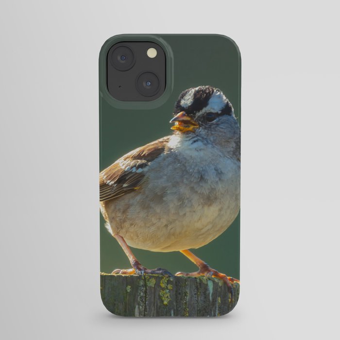 Perching with Attitude iPhone Case