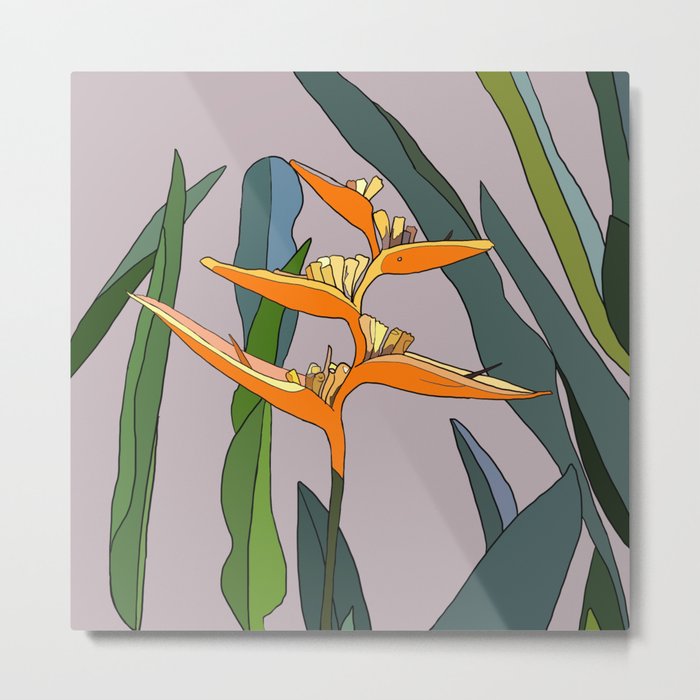 Bird of Paradise Flower - Nature's Lines Metal Print