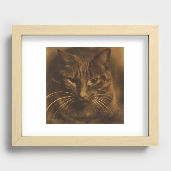 Kitty Cat Vintage Photo Recessed Framed Print