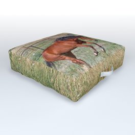 Exuberance Outdoor Floor Cushion | Color, Bayhorse, Rural, Pasture, Runninghorse, Farmanimal, Photo, Digital, Mammal, Summer 