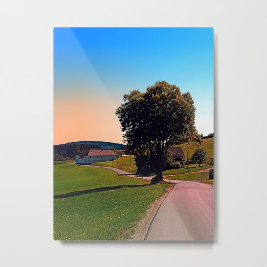 A tree, a road and summertime Metal Print