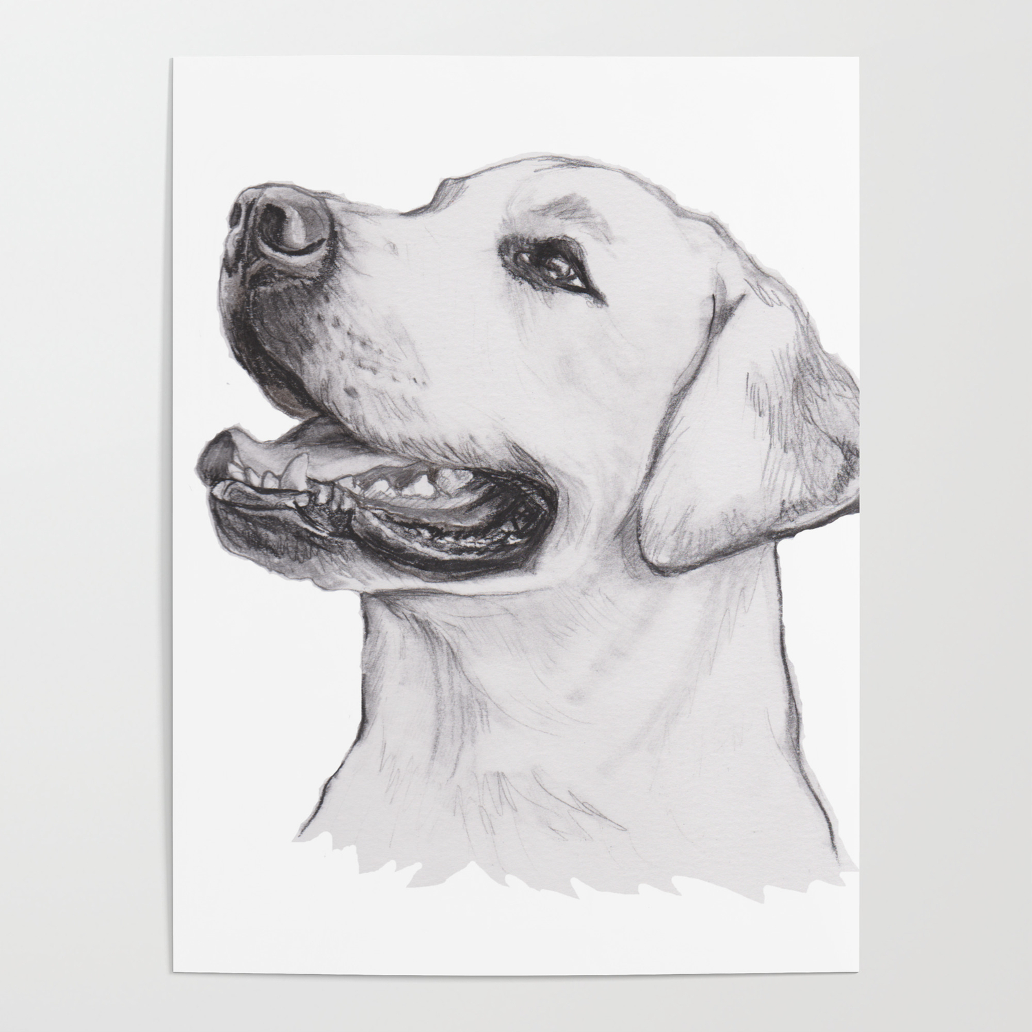 Gotta Draw The Smiley Yellow Lab Poster By Crazy Lalanny | Society6