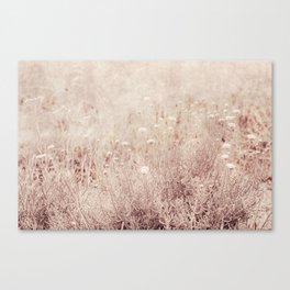 Photograph of a wildflower meadow Canvas Print
