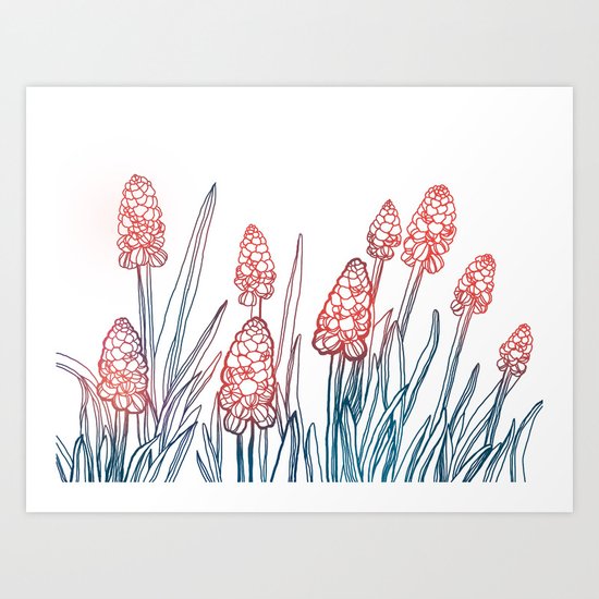 Hyacinths Art Print