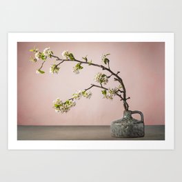 Still life blossom in vase Art Print