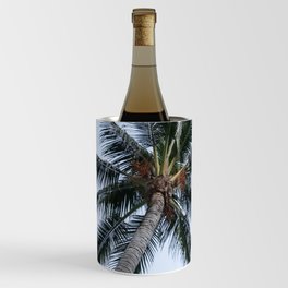 Mexico Photography - A Dry Palm Tree Seen From Below Wine Chiller