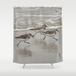Sandpipers Shower Curtain