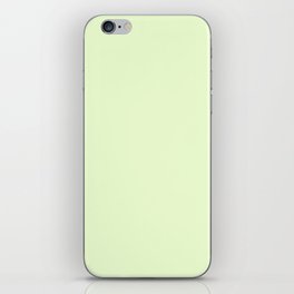 Rock Melon  iPhone Skin