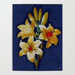 Lily Flowers Poster