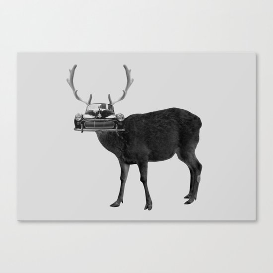 deer Canvas Print