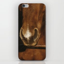 Rustic Horse Nose on Ranch iPhone Skin