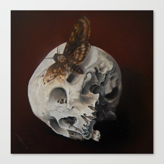Acherontia Canvas Print