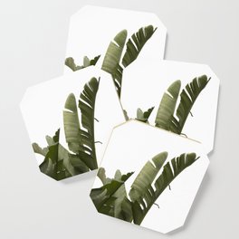 Travellers Palm Leaves 07 Coaster