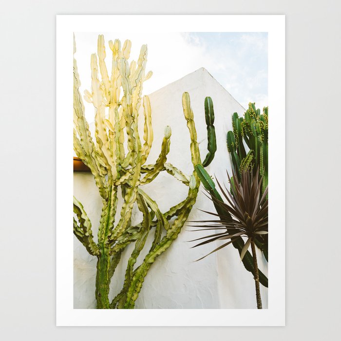 California Cactus Garden Art Print