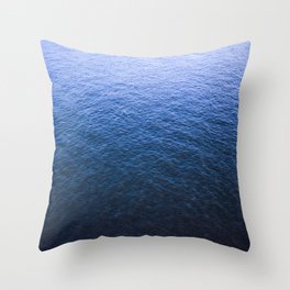 Blue Elbe Throw Pillow