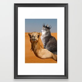 Cat Riding Camel Framed Art Print