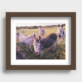 Donkeys day out Recessed Framed Print