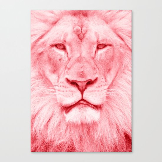 Pink lion Canvas Print