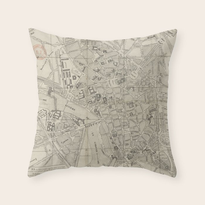 Throw Pillow