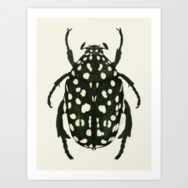 green beetle insect Art Print