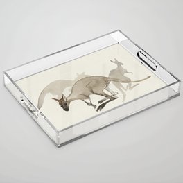 Kangaroo illustration Acrylic Tray
