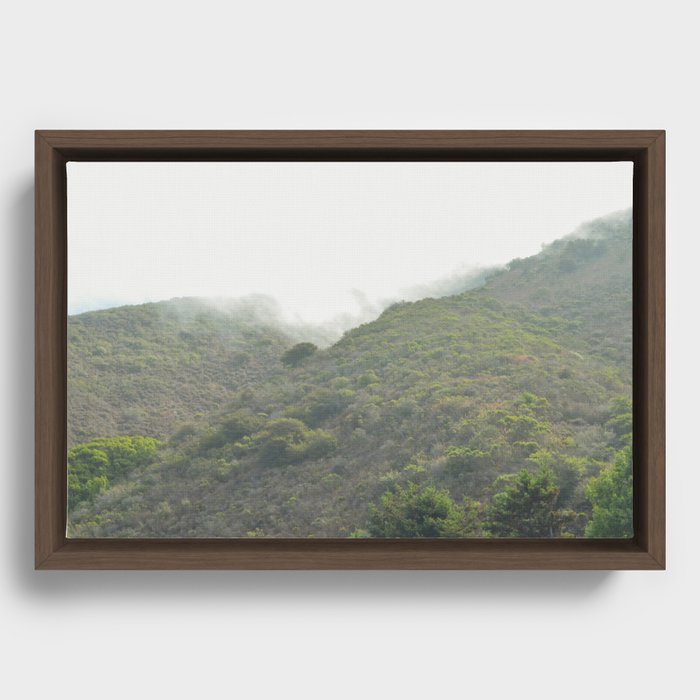 Tops of the trees Framed Canvas