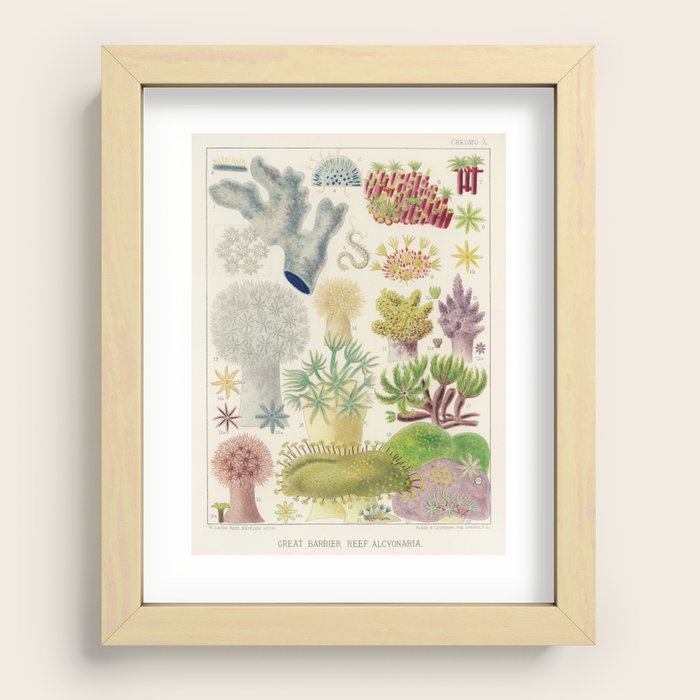 Recessed Framed Print