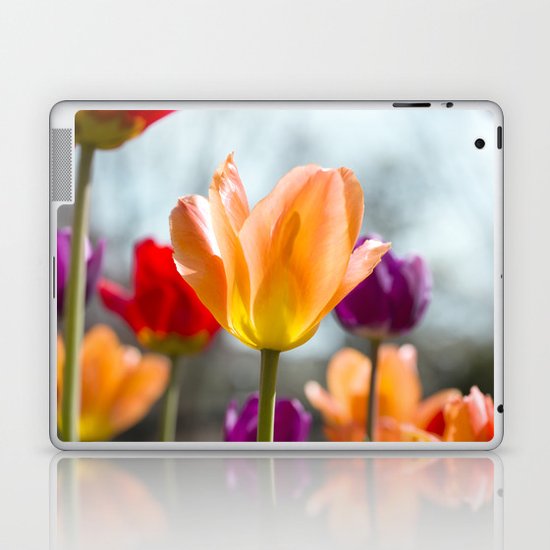 Tulip Dance Laptop & iPad Skin