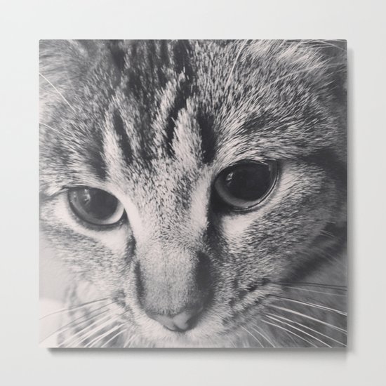Ollie Metal Print