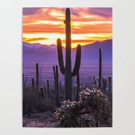 Arizona Sunset Poster