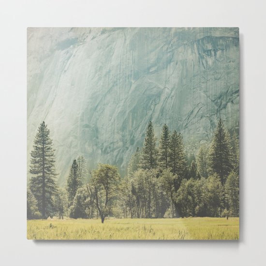 Yosemite Valley IV Metal Print