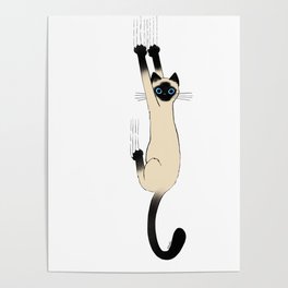 Siamese Cat Hanging On Poster