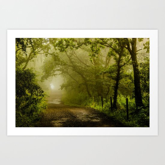 Misty Woodland Lane Art Print
