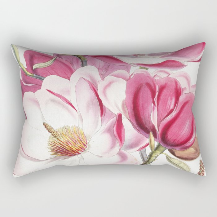 Campbells Magnolia Vintage Plant Illustration Rectangular Pillow