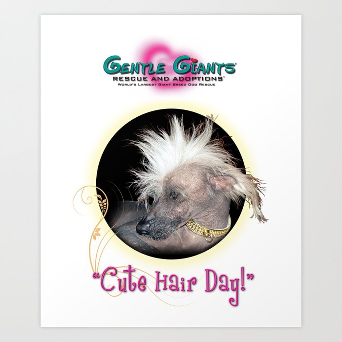 Genetle Giants Rescue "Cute Hair" Chinese Crested Dog Art Print
