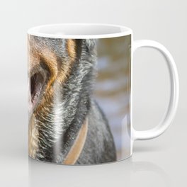 Portrait Eleven Months Old Rottweiler Standing Coffee Mug