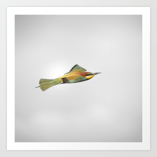 Born to fly Art Print