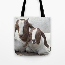 Two Young Boer Goats Resting  Tote Bag