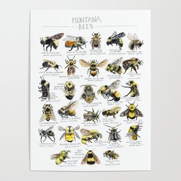 Montana Bee Chart Poster